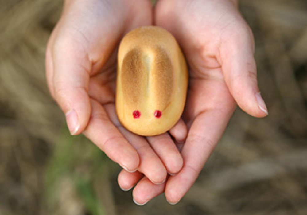 寿製菓株式会社