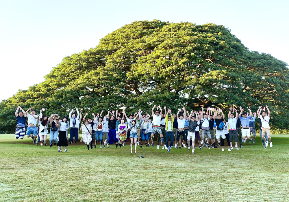 ヤブシタホールディングス株式会社